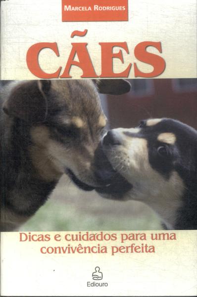 Cães: Dicas E Cuidados Para Uma Convivência Perfeita