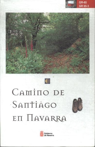 Camino De Santiago En Navarra (2004)