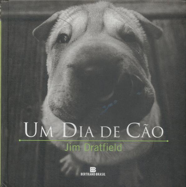 Um Dia De Cão