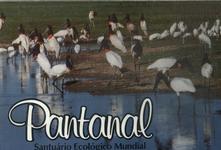 Santuário Ecológico Mundial: Pantanal