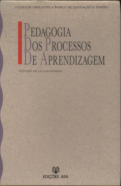 Pedagogia Dos Processos De Aprendizagem (1991)