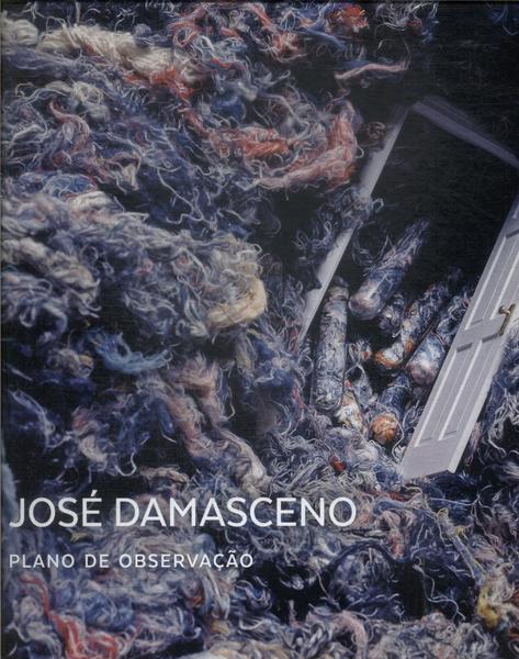 José Damasceno: Plano De Observação