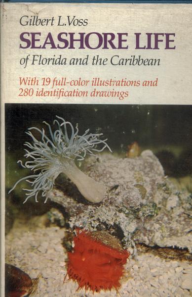 Seashore Life Of Florida And The Caribbean