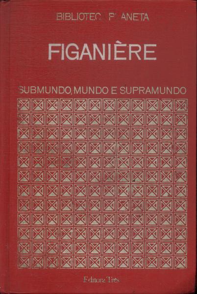 Submundo, Mundo E Supramundo