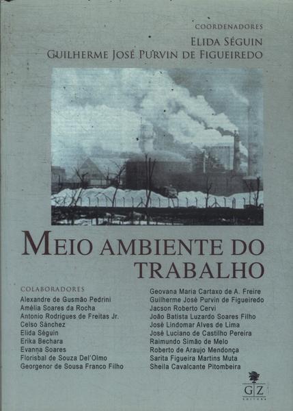 Meio Ambiente Do Trabalho (2011)