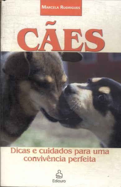 Cães: Dicas E Cuidados Para Uma Convivência Perfeita