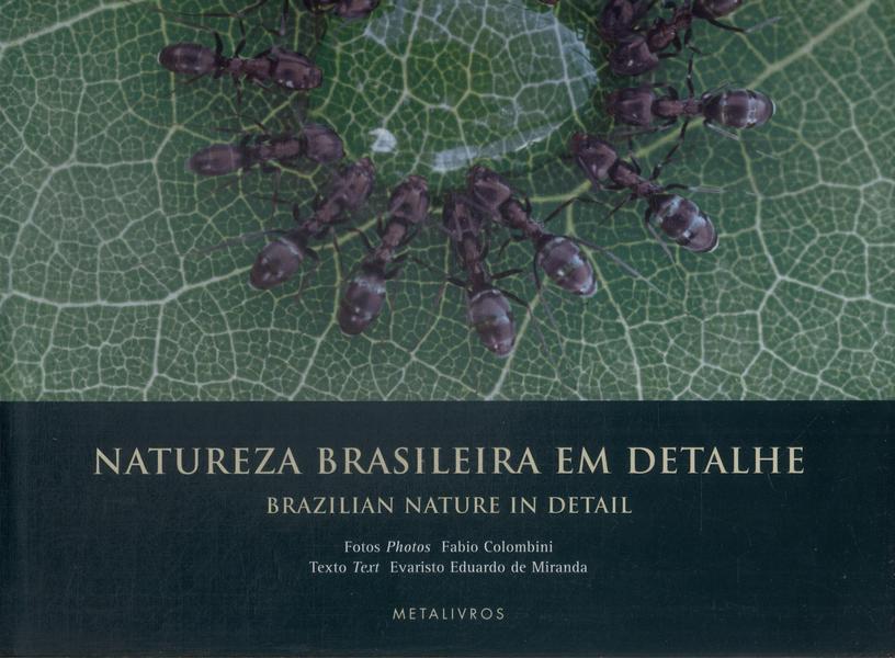 Natureza Brasileira Em Detalhe