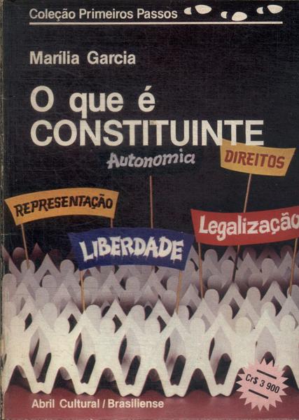 O Que E Constituinte