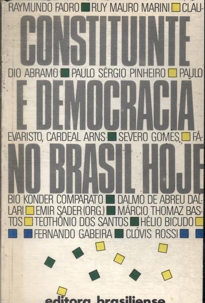Constituinte E Democracia No Brasil Hoje