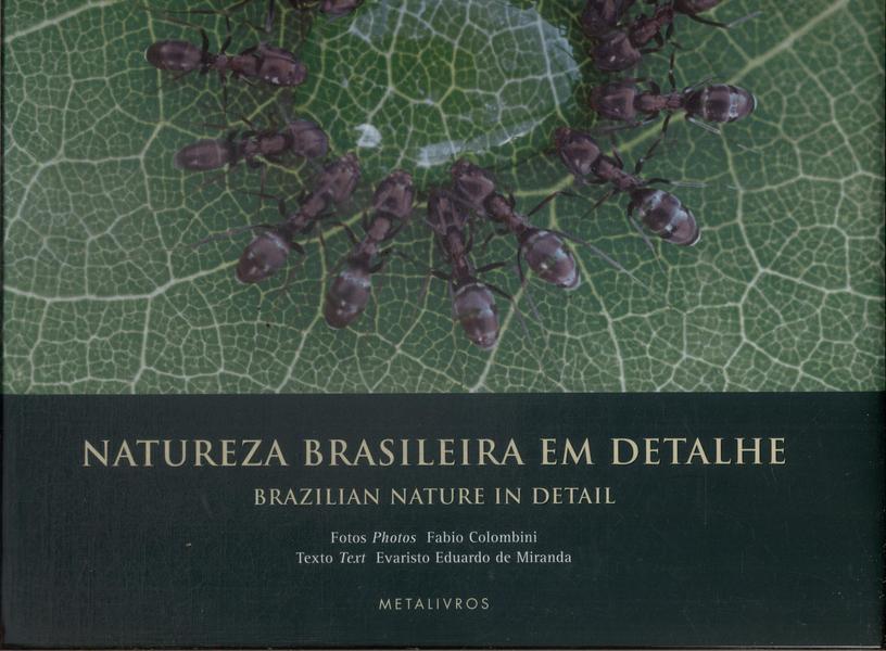 Natureza Brasileira Em Detalhe