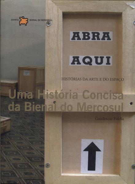 Uma História Concisa Da Bienal Do Mercosul