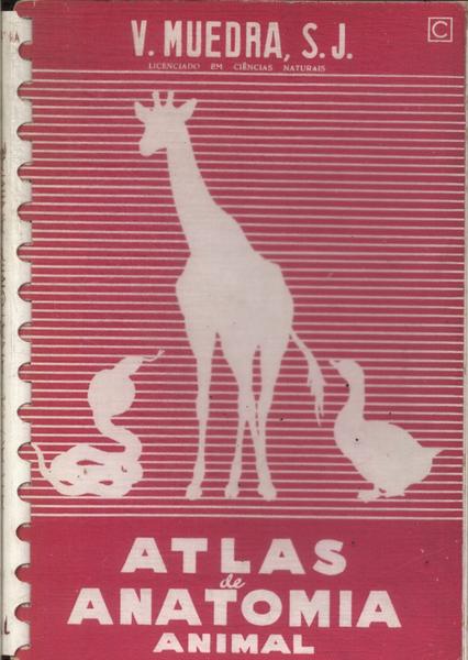 Atlas De Anatomia Animal (1964)