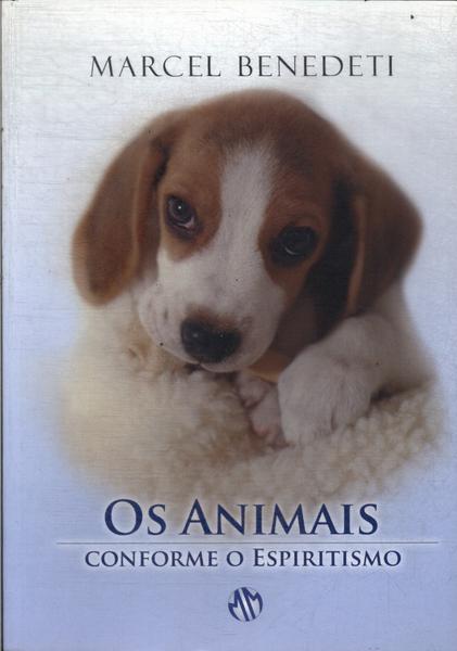 Os Animais Conforme O Espiritismo