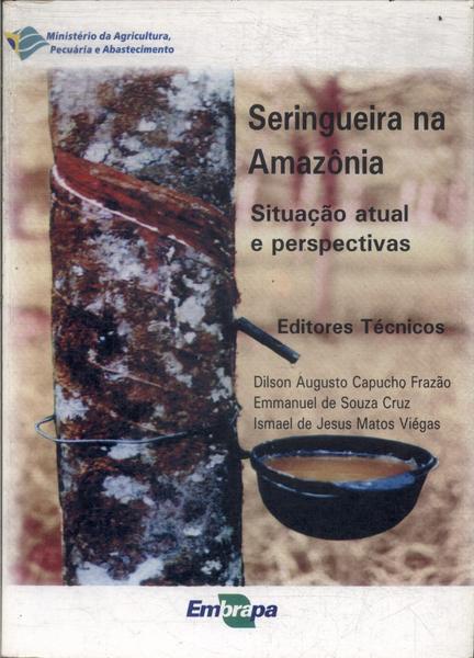 Seringueira Na Amazônia
