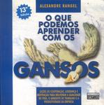 O Que Podemos Aprender Com Os Gansos