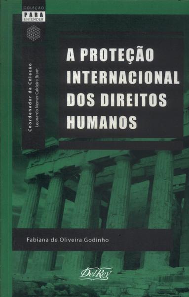 A Proteção Internacional Dos Direitos Humanos