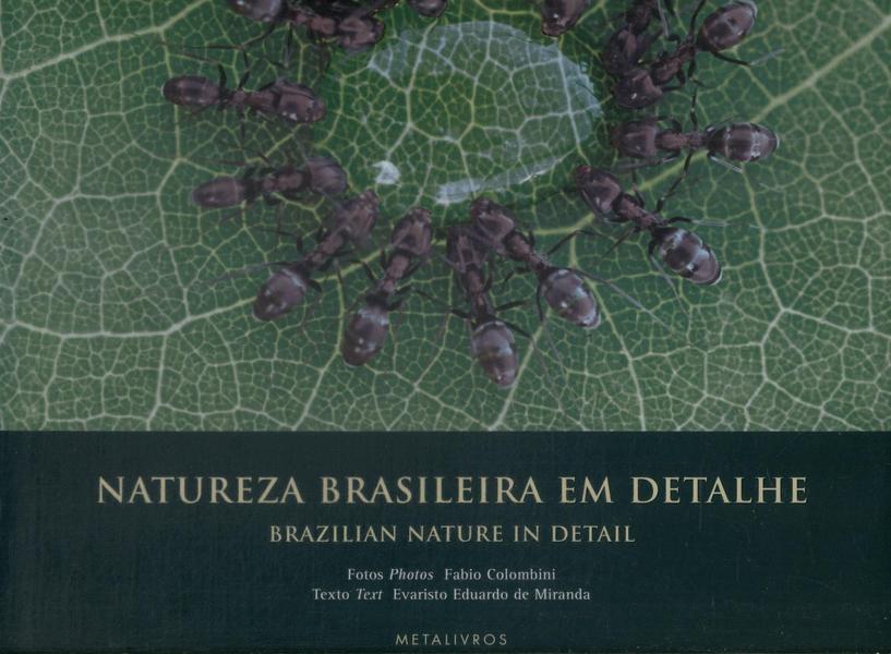 Natureza Brasileira Em Detalhe