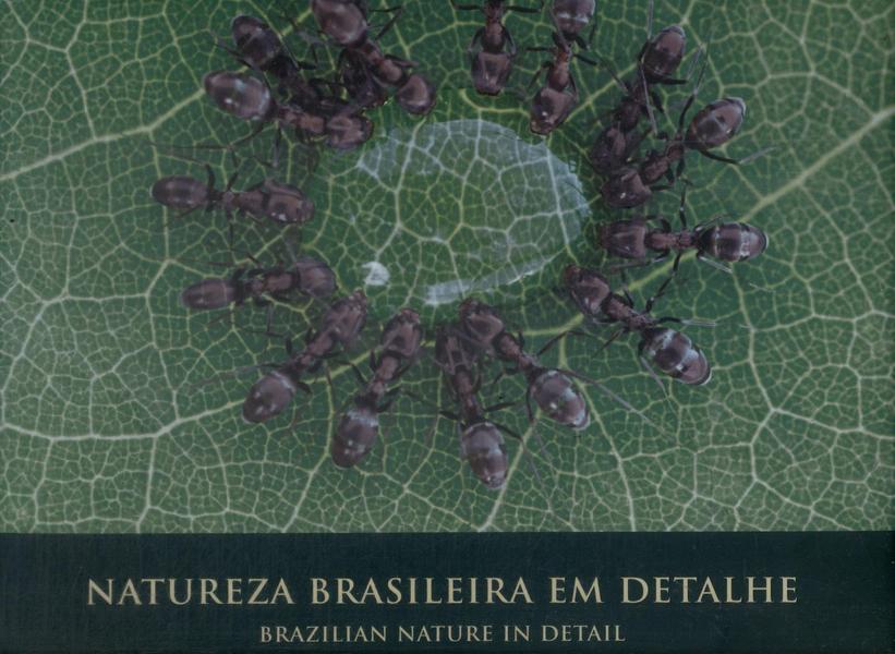 Natureza Brasileira Em Detalhe