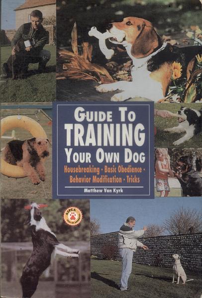 Guide To Training Your Own Dog