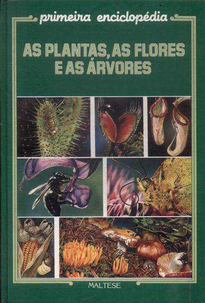 Primeira Enciclopédia: As Plantas, As Flores E As Árvores