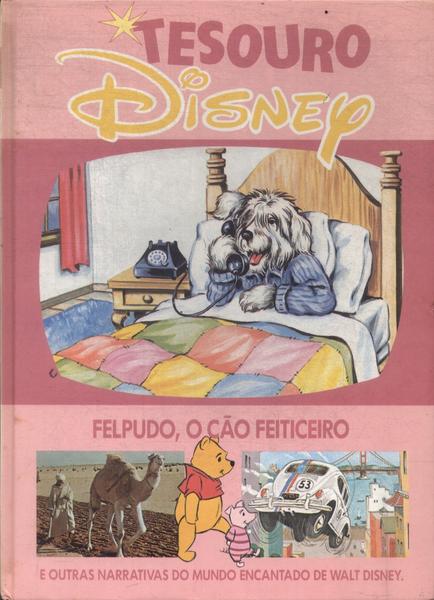 Tesouro Disney: Felpudo, O Cão Feiticeiro
