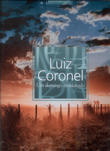 Luiz Coronel: Um Domingo Ensolarado