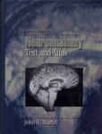 Neuroanatomy