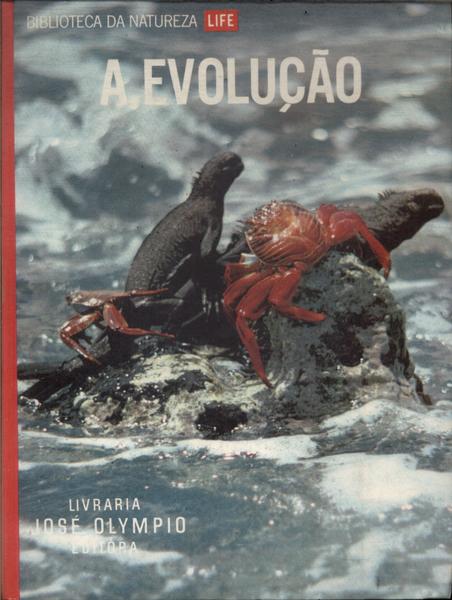 A Evolução