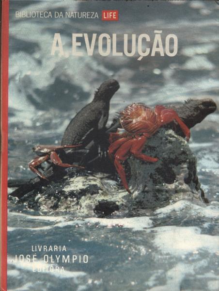 A Evolução