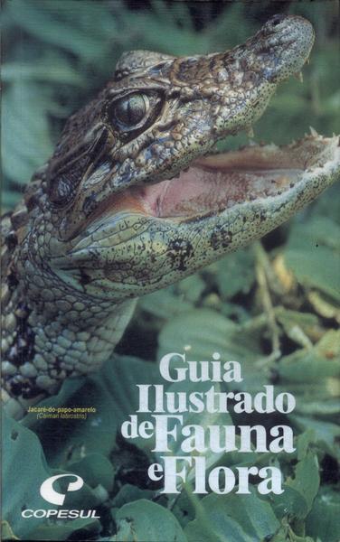 Guia Ilustrado De Fauna E Flora