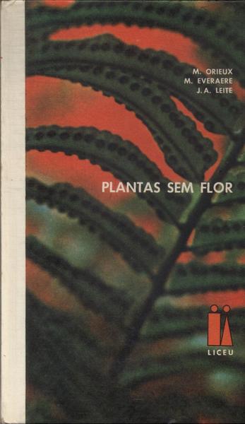 Plantas Sem Flor