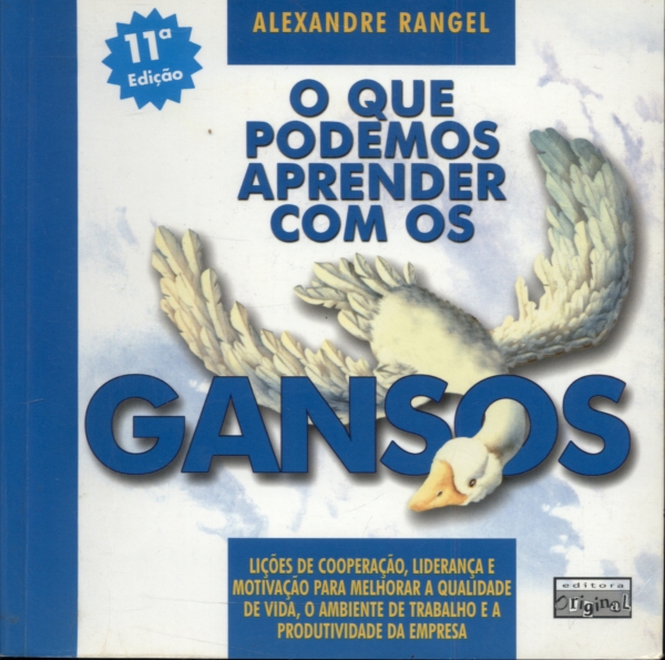 O Que Podemos Aprender Com os Gansos