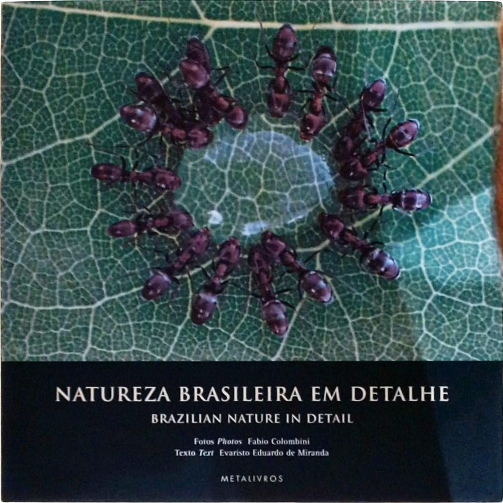 Natureza Brasileira Em Detalhe