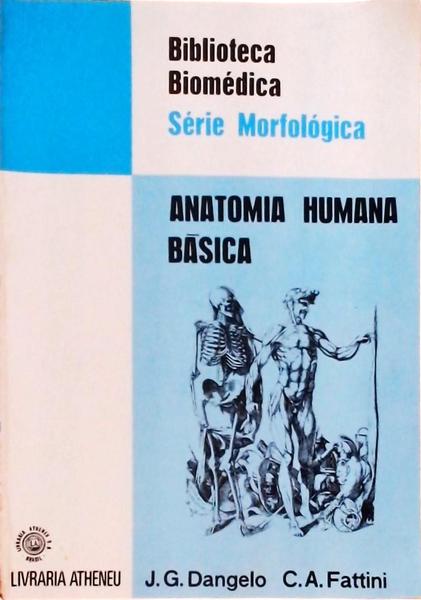 Anatomia Humana Básica