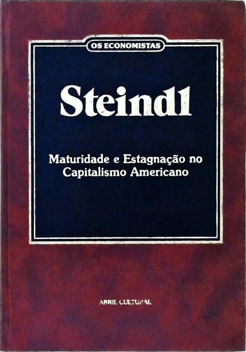 Maturidade e Estagnação no Capitalismo Americano (Com uma Nova Introdução do Autor)