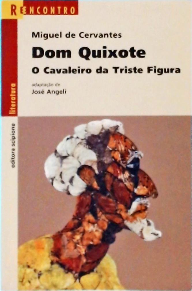 Dom Quixote: O Cavaleiro Da Triste Figura (adaptado por José Angeli)