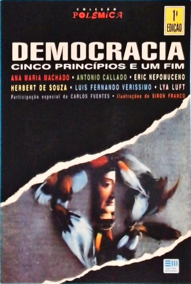 Democracia: Cinco Princípios E Um Fim