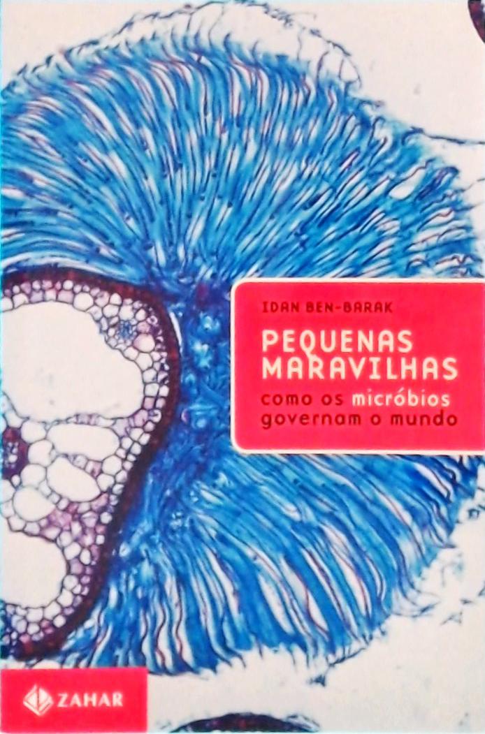 Pequenas Maravilhas