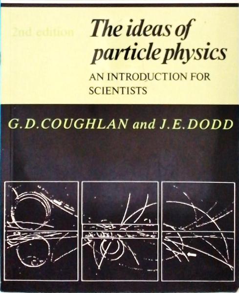 The Ideas Of Particle Physics