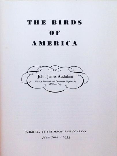 The Birds Of America