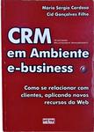 Crm Em Ambiente E-Business