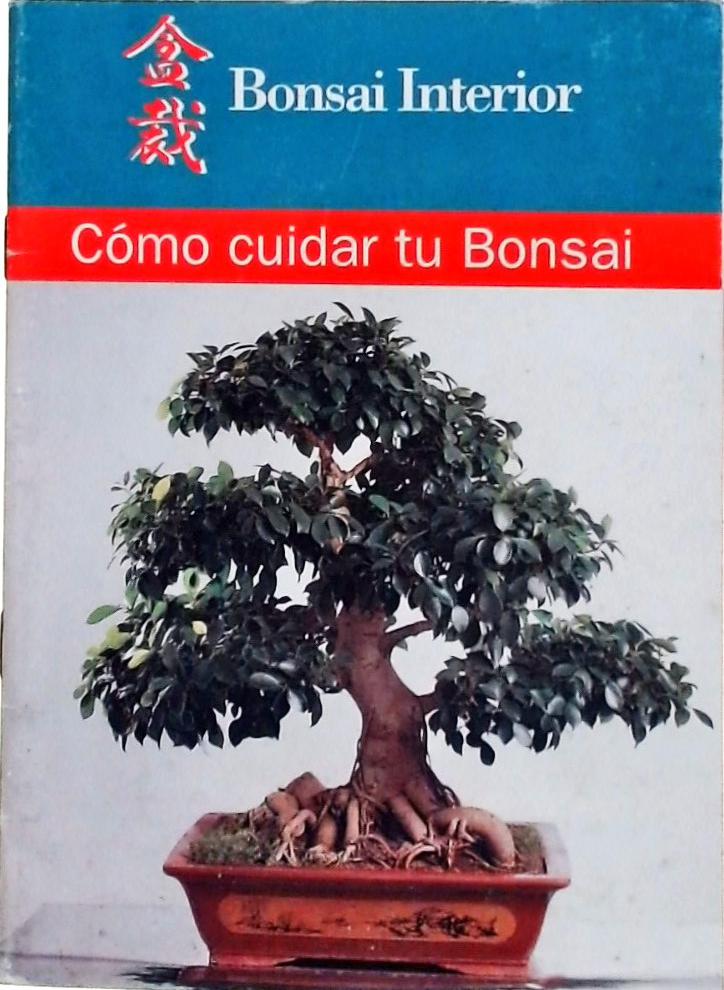 Cómo Cuidar Tu Bonsai