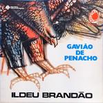 Gavião De Penacho