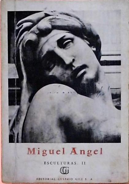 Miguel Angel Vol 2