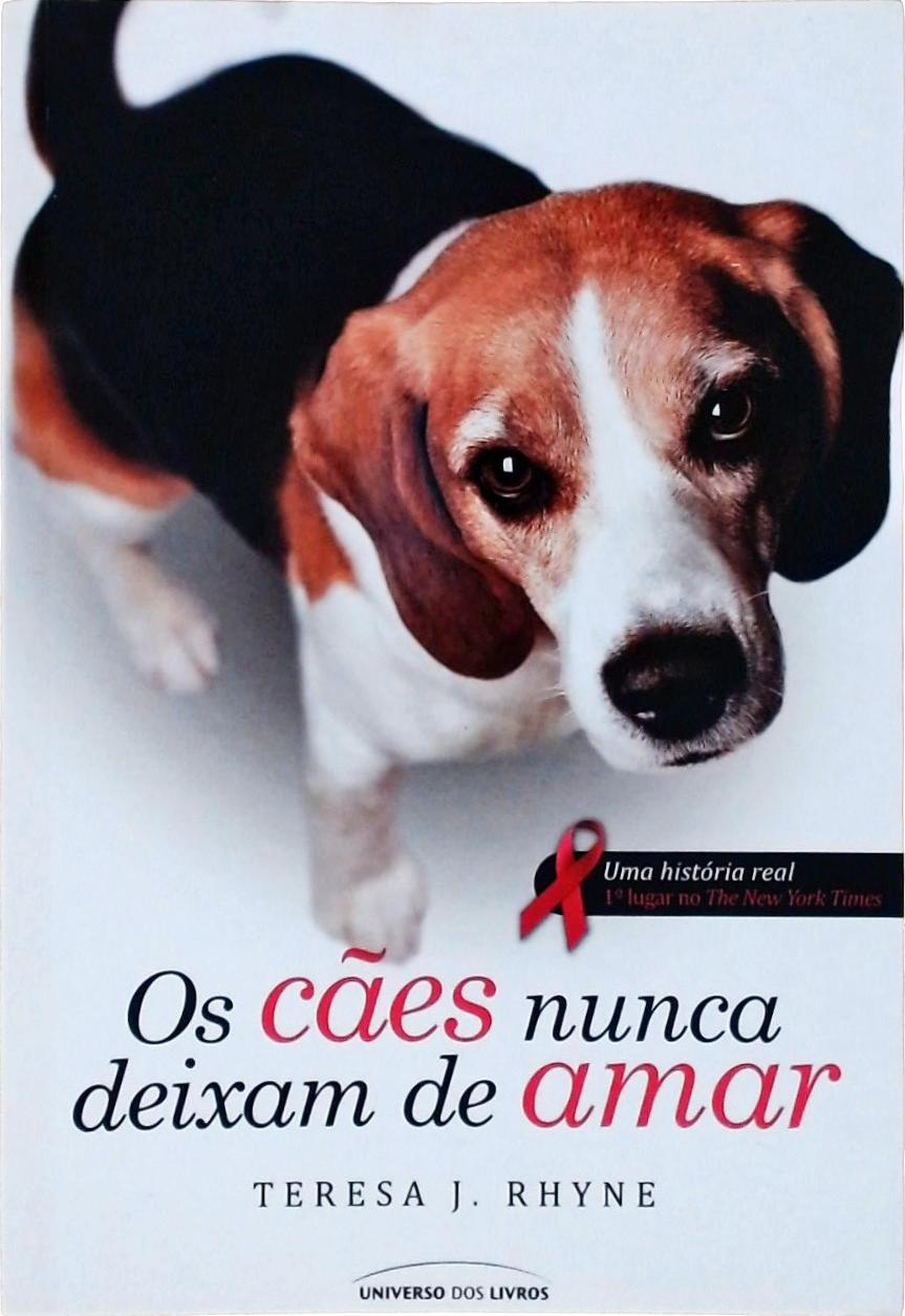 Os Cães Nunca Deixam De Amar