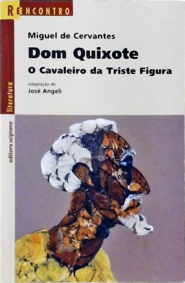 Dom Quixote - O Cavaleiro Da Triste Figura (adaptado)