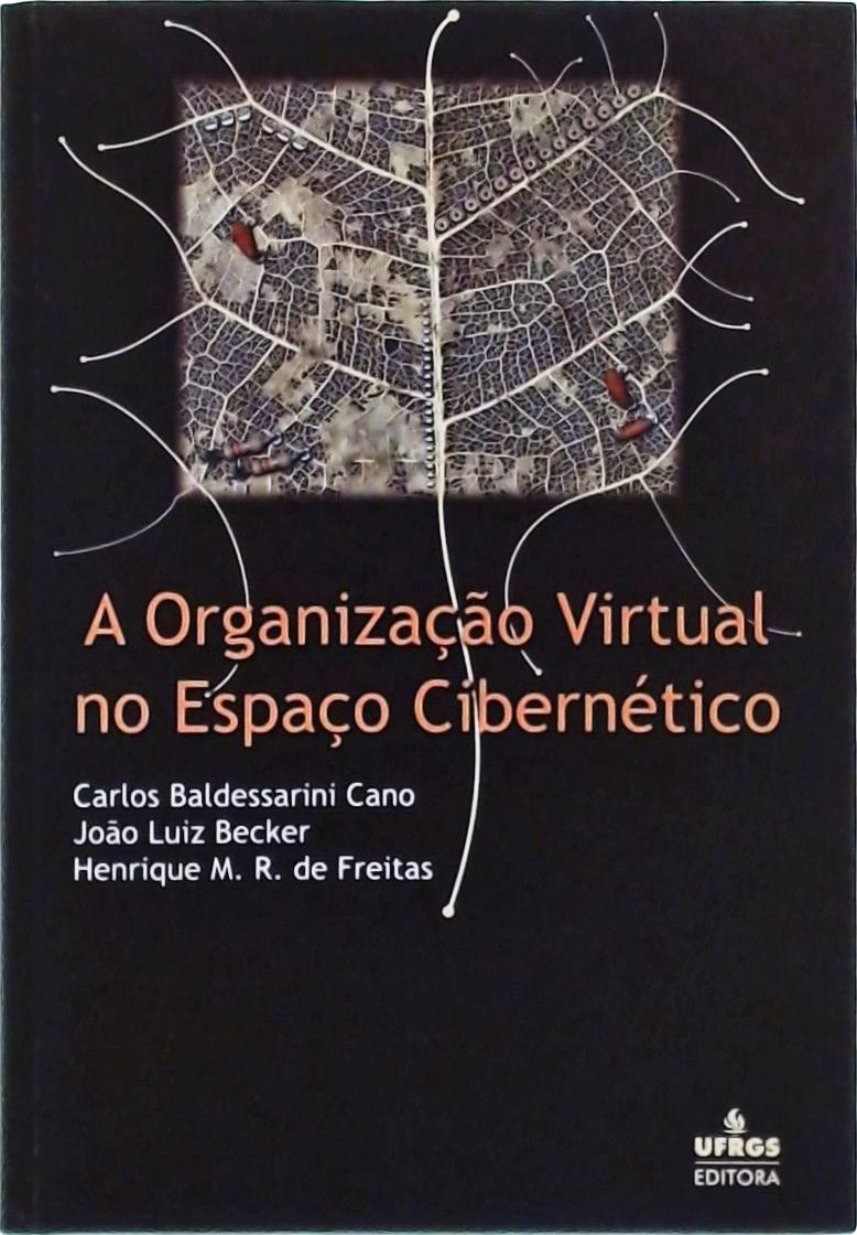 A Organização Virtual No Espaço Cibernético