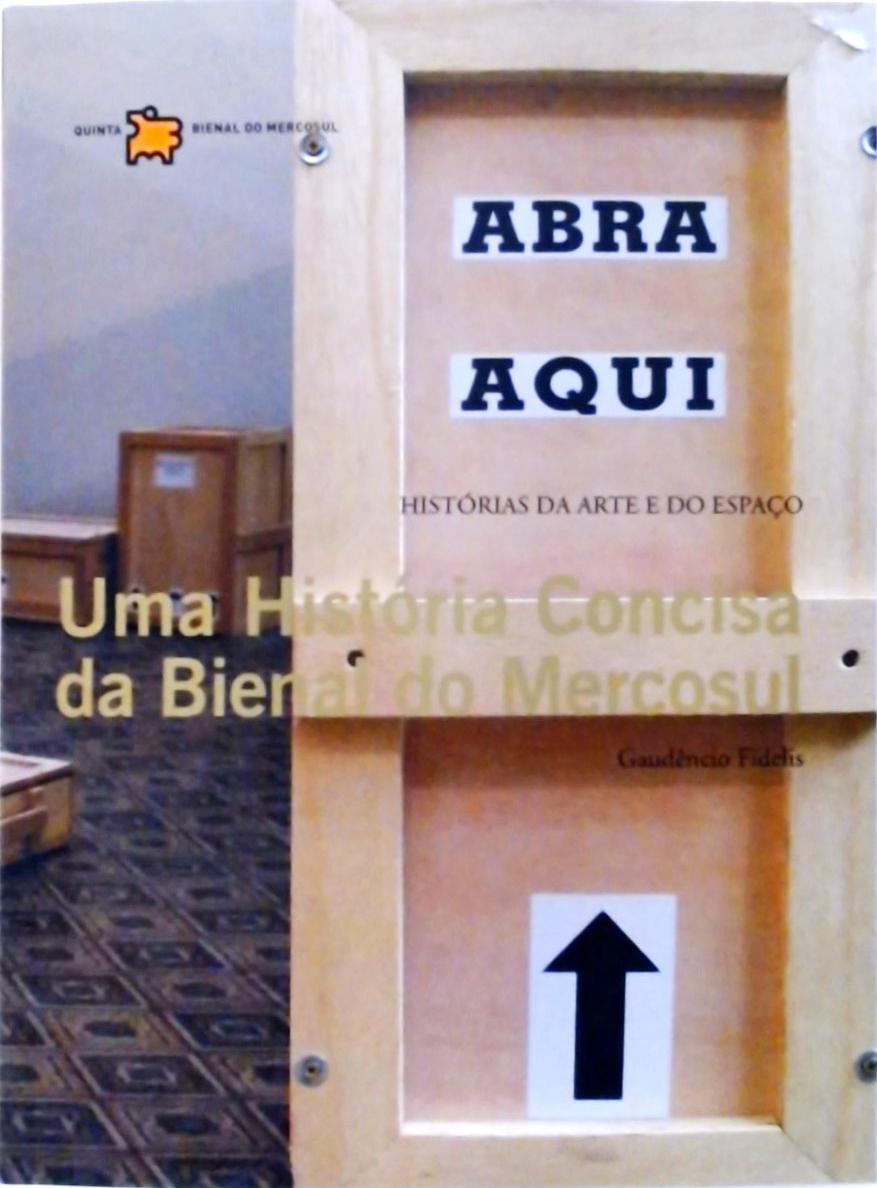 Uma História Concisa Da Bienal Do Mercosul