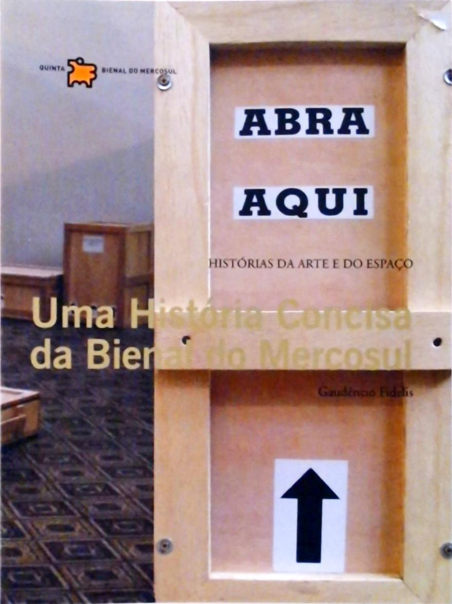 Uma História Concisa Da Bienal Do Mercosul