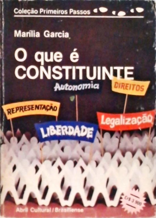 O Que é Constituinte